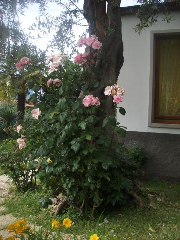 Garni Casa Rabagno Hotel Malcesine Buitenkant foto